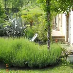 Bellavista *