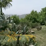 Bellavista Farma *