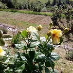 Farma Bellavista