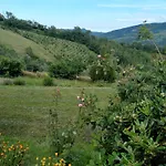 Bellavista