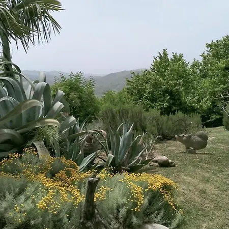 Bellavista Farm stay *