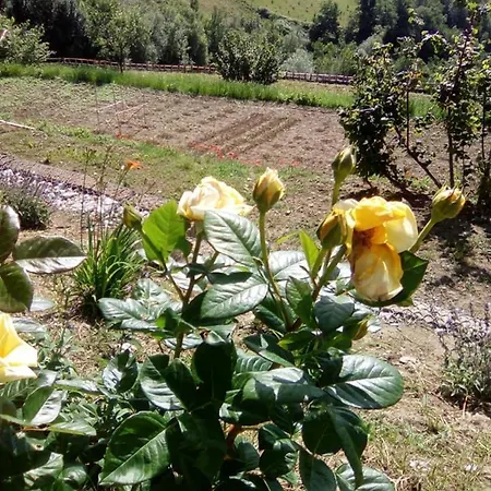 Gospodarstwo agroturystyczne Bellavista