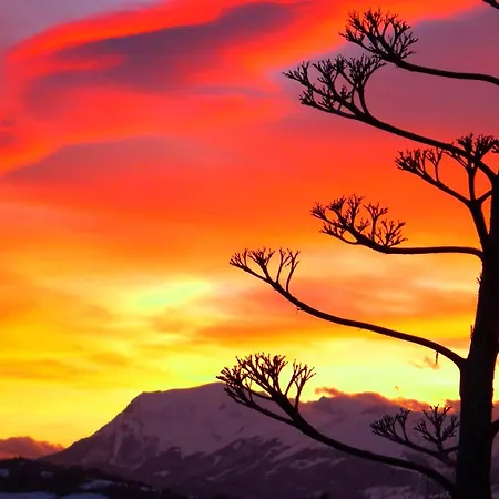 Gospodarstwo agroturystyczne Bellavista