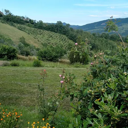 Bellavista