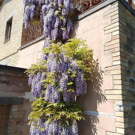 Bellavista Gospodarstwo agroturystyczne *