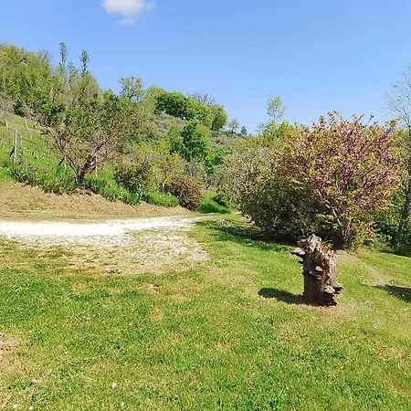 Bellavista Gospodarstwo agroturystyczne Monte San Martino