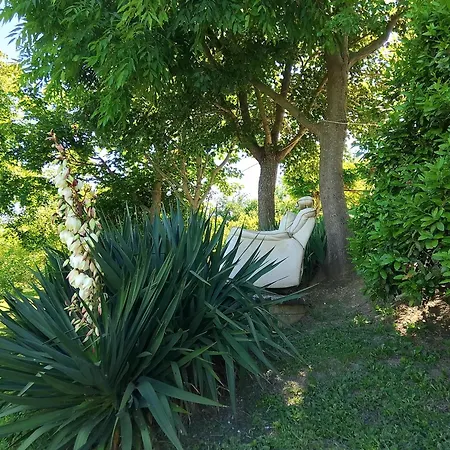 Bellavista