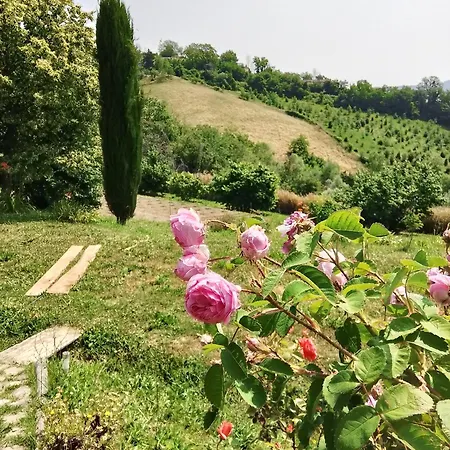 Bellavista 팜스테이 Monte San Martino